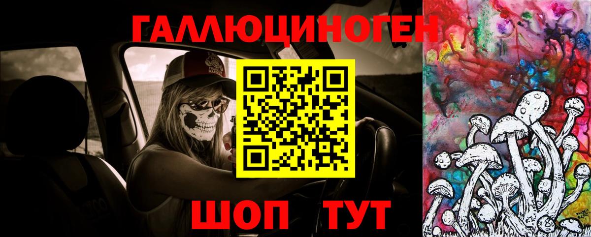 Галлюциногенные грибы мухоморы Павловский Посад