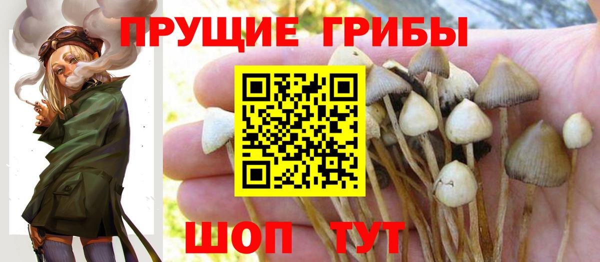 Псилоцибиновые грибы ЛСД  Вход с VPN  Павловский Посад 